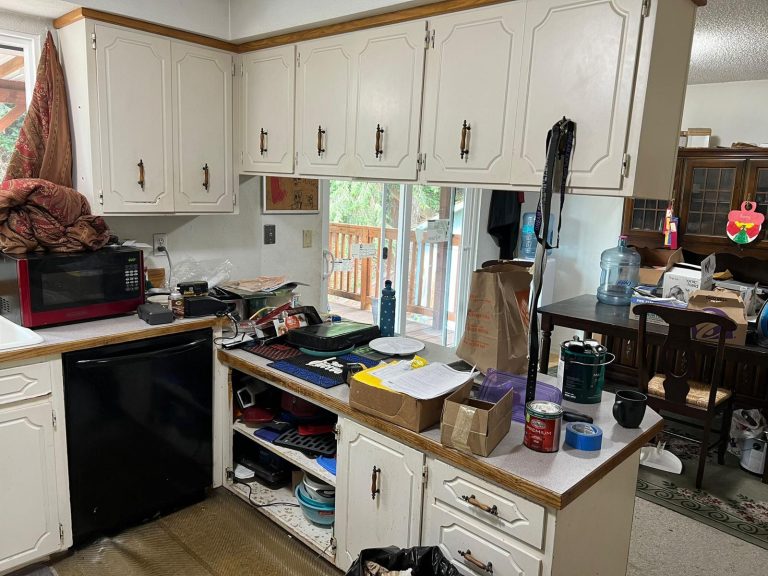 Auburn Kitchen Remodel
