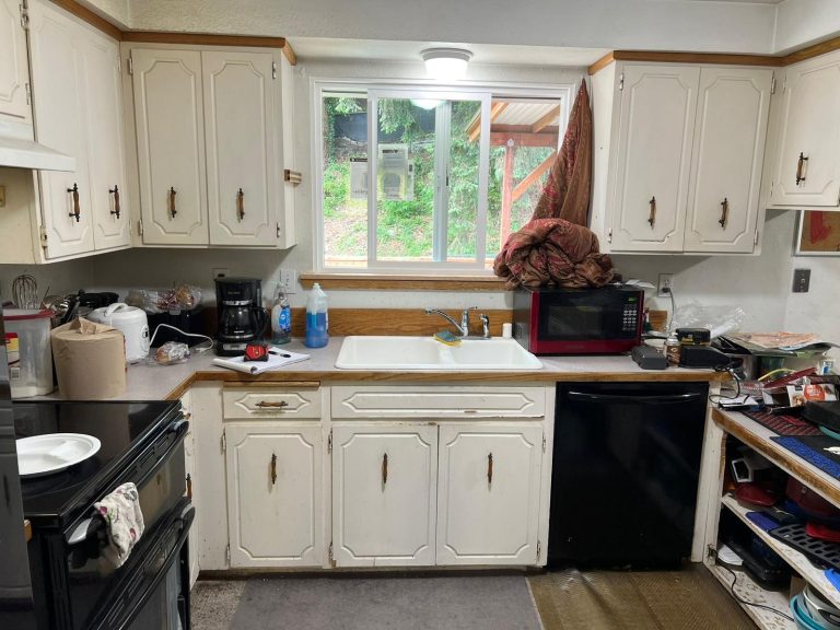 Auburn Kitchen Remodel