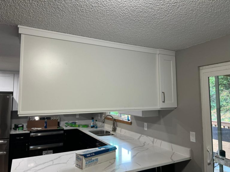 Auburn Kitchen Remodel